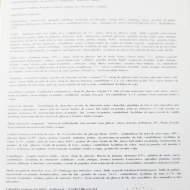 Ingrédients des confiseries & chocolats halal