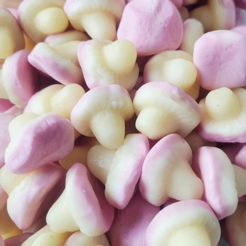 Champignons